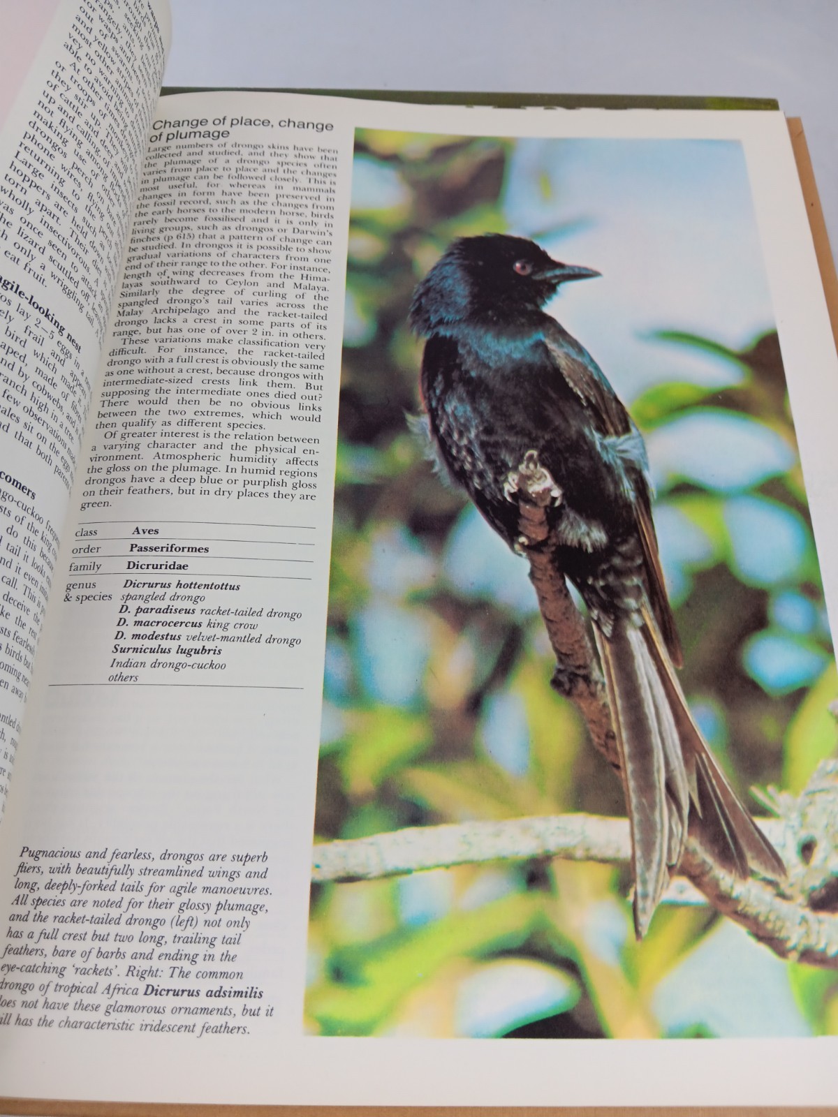 Funk and Wagnalls Wildlife Encyclopedia 8 Volumes. 6,9,13,14,15,16,17,18.
