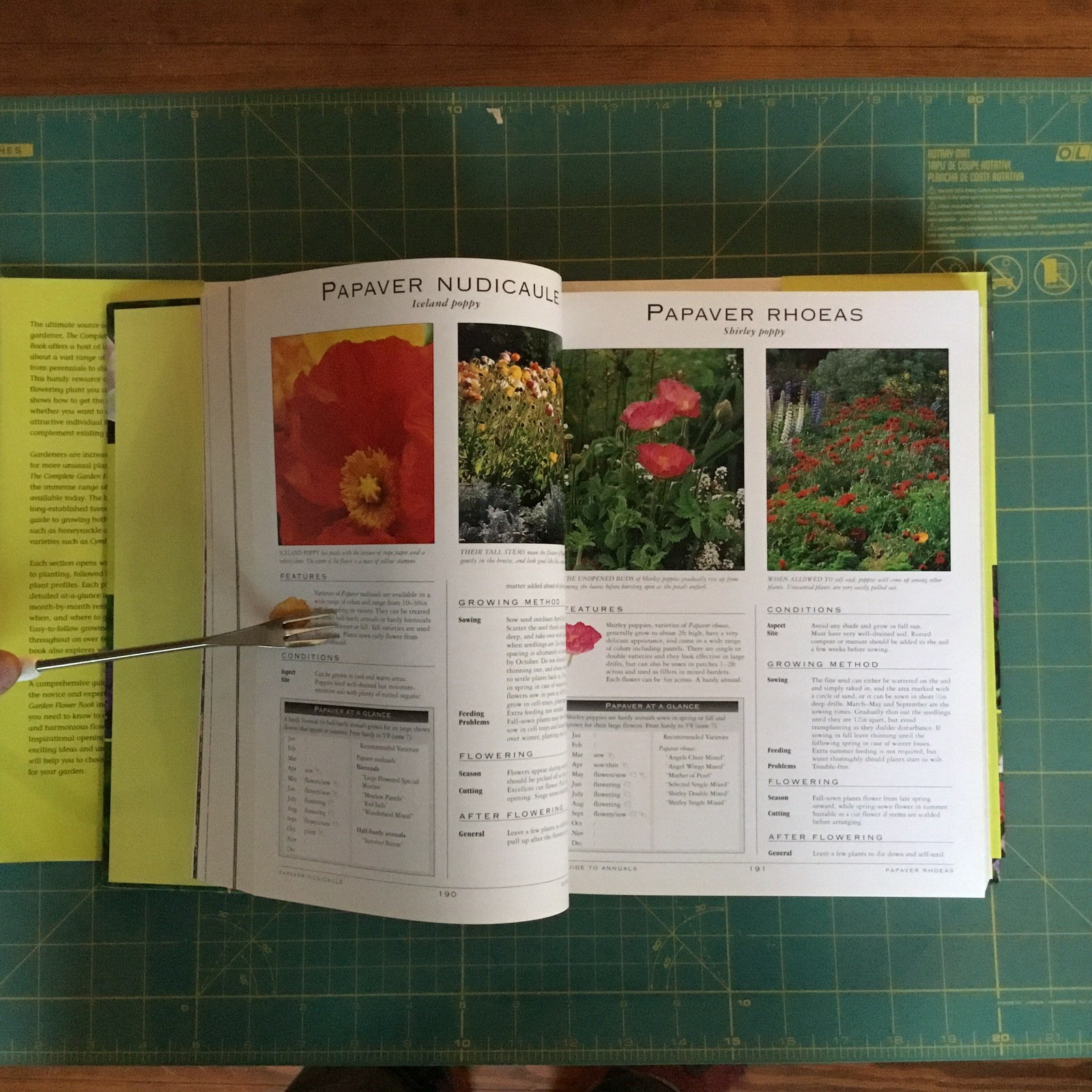 THE COMPLETE garden Flower Book 800 Pages 1000 + Pictures, Like New