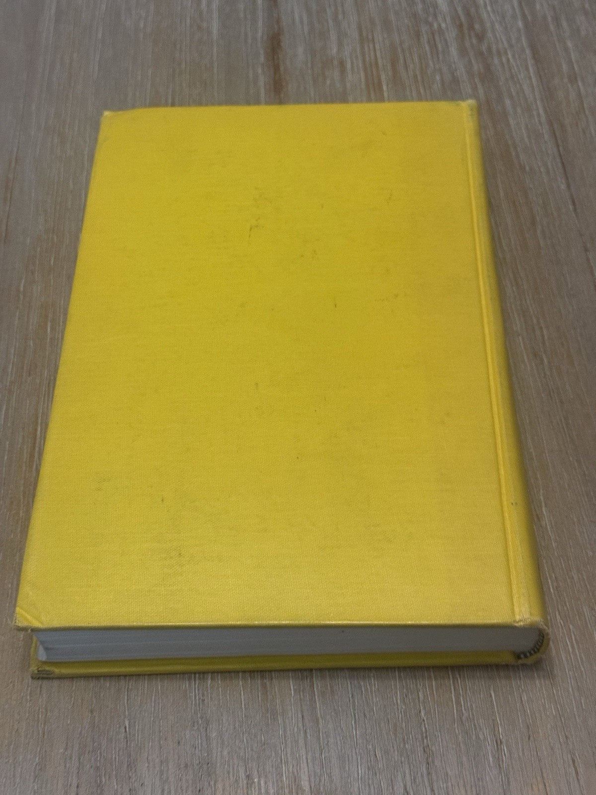 Homology by Dr. Saunders MacLane 1963 HC / Volume 114