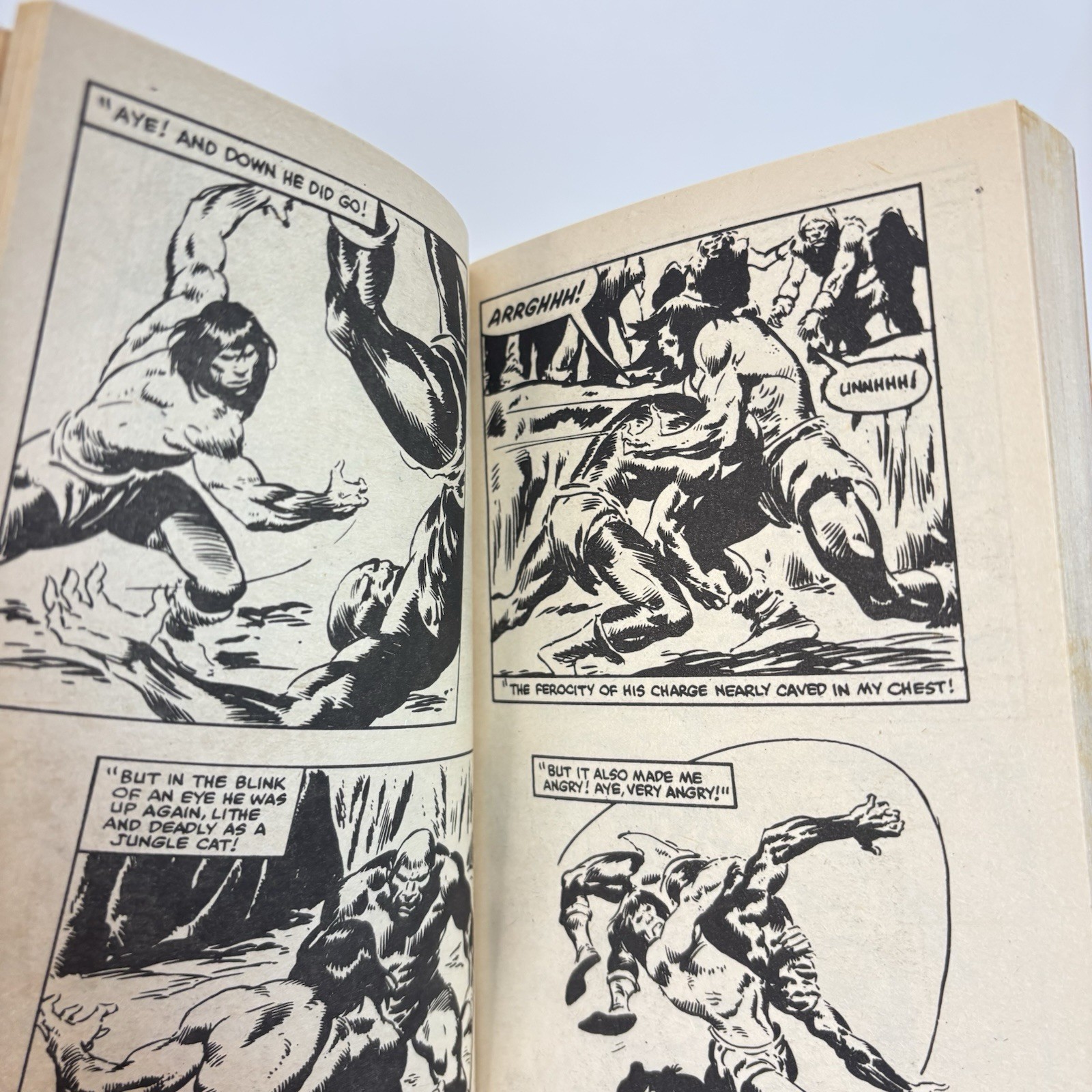 Conan The Barbarian Movie Adaptation Marvel Illustrated Book 1982 PB Graphic 3A