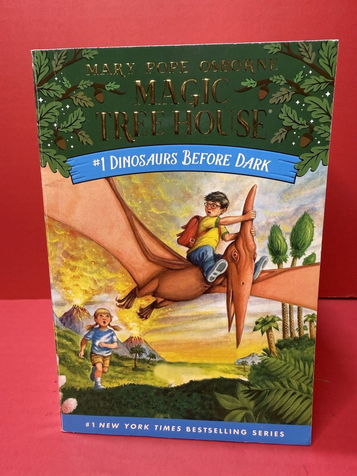 Lot (19) Magic Tree House Books 1-12 (Missing #7) Then 21-28 Mary Pope Osborne