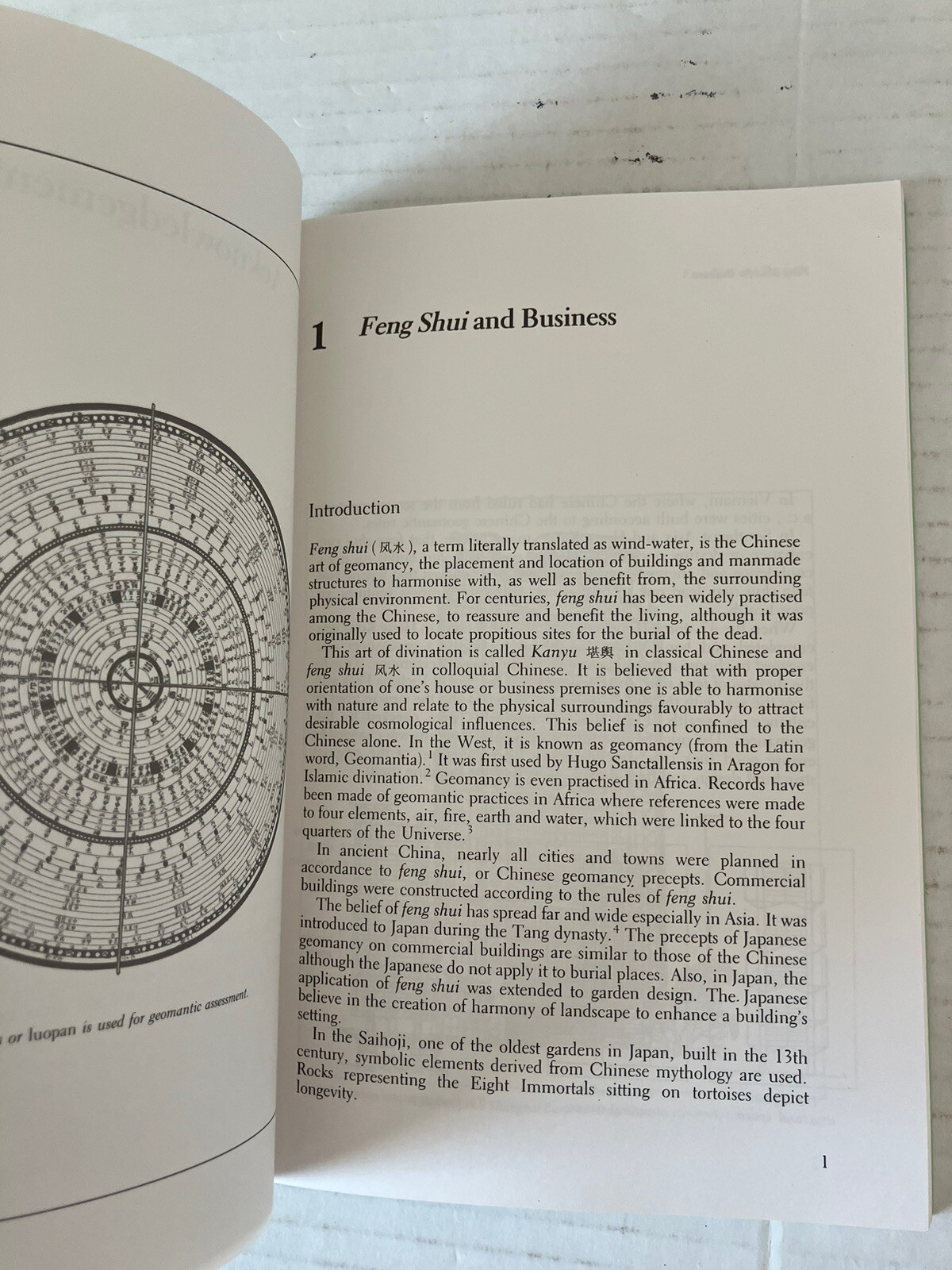 Feng Shui for Business by Evelyn Lip 1990 Illustrated Paperback