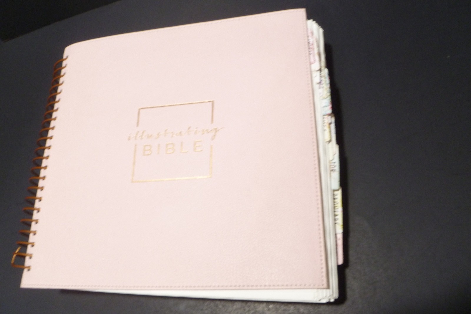 Illustrating Bible NIV Pink by Dayspring (2020, Spiral)
