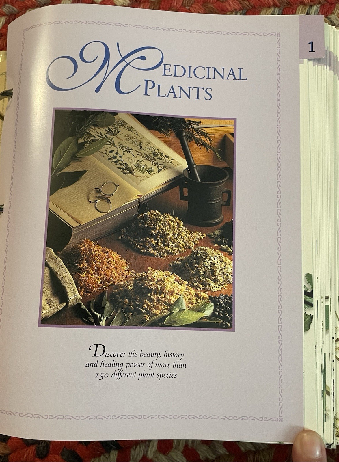 The Complete Guide to Natural Healing 1 Binder Sections 1-13 300+ Cards – USED