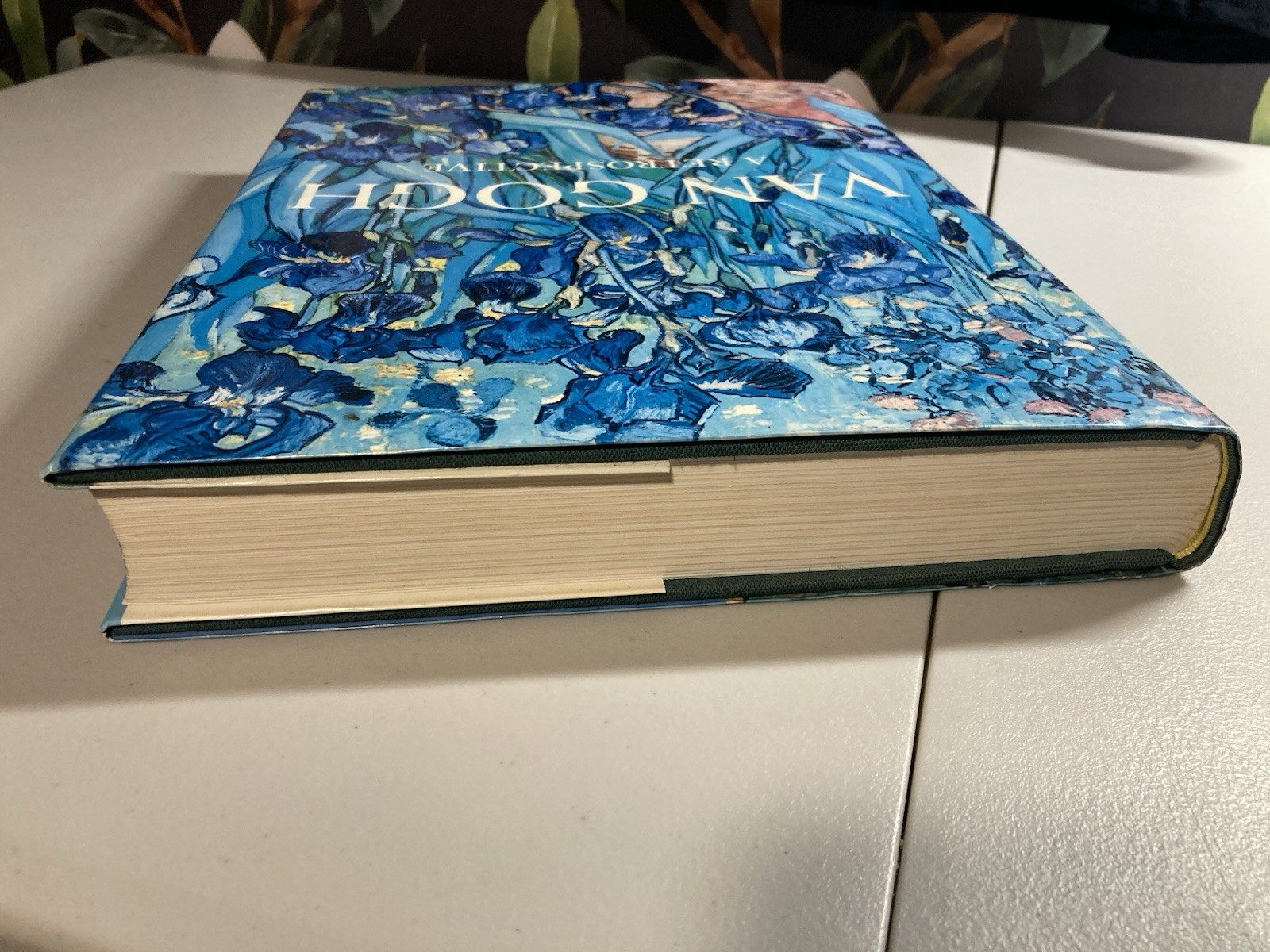 Van Gogh A Retrospective Edited By Susan Alyson Stein 1986 Park Lane HC/DJ