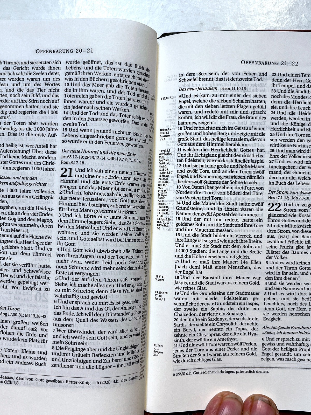 German Bible, Die Bibel, Schlachter 2000, Imitation Leather, Brown Black 2-toned