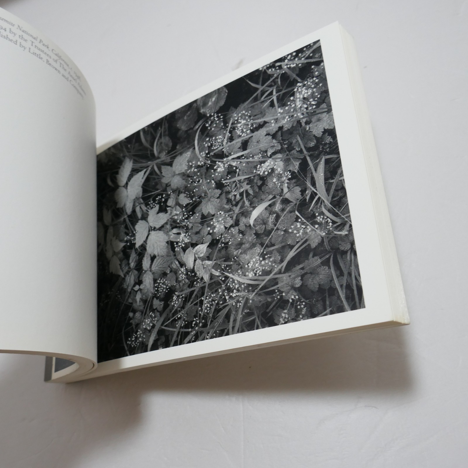Ansel Adams: Thirty Photographs : A Postcard Folio Book