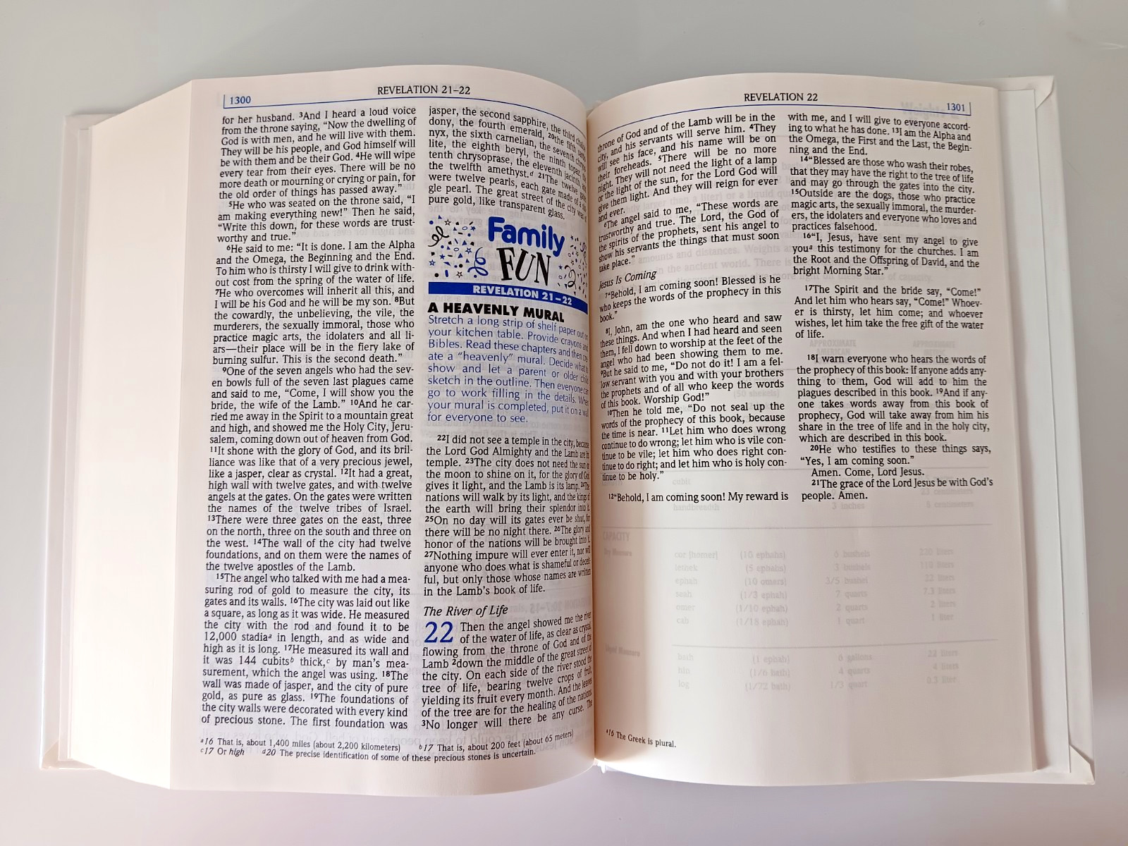 The Parenting Bible NIV Christian Values for Today’s Family 1994 Zondervan HB