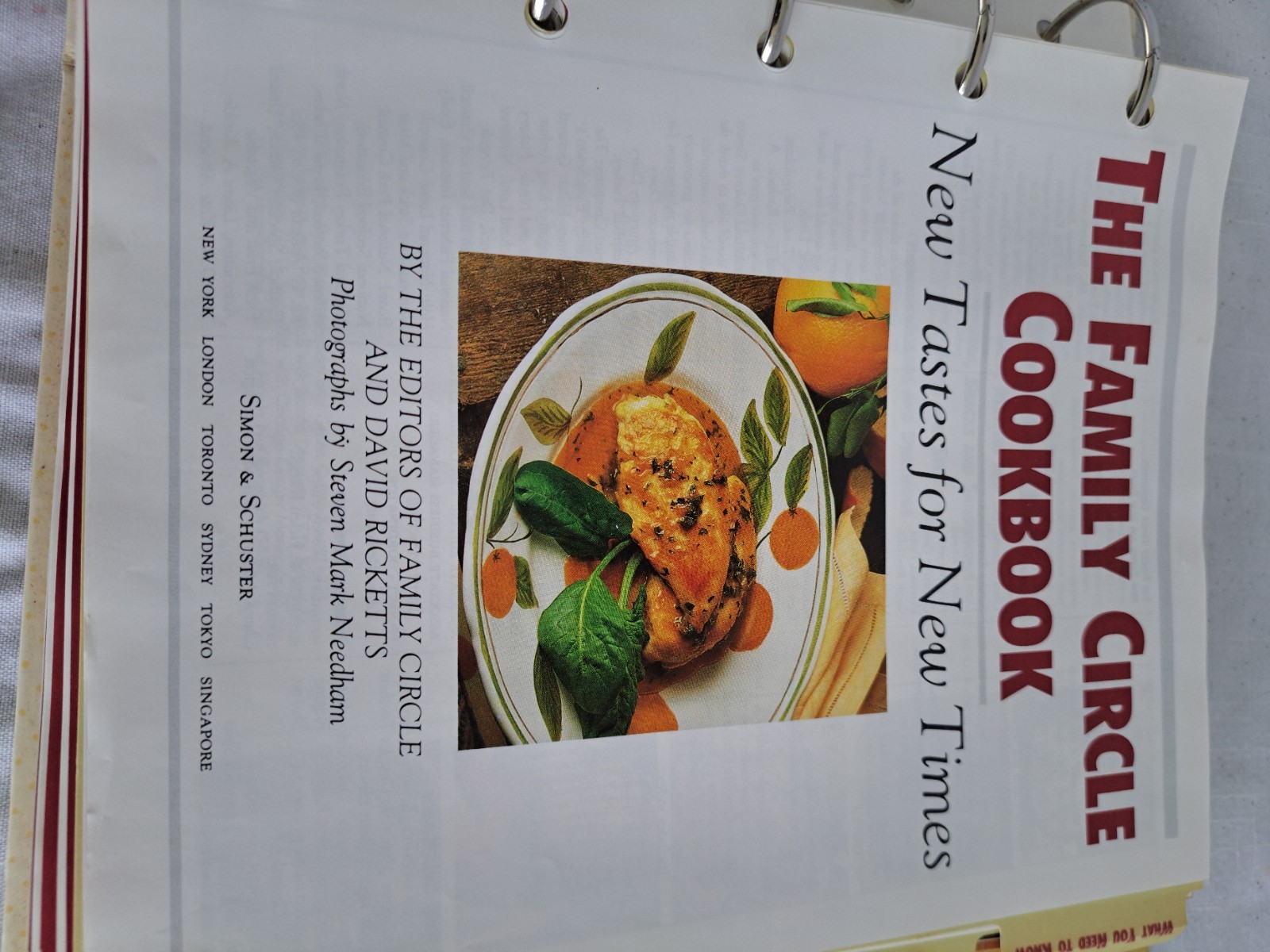 THE FAMILY CIRCLE COOKBOOK „New Tastes for New Times“ 1992 645 pages WONDERFUL!