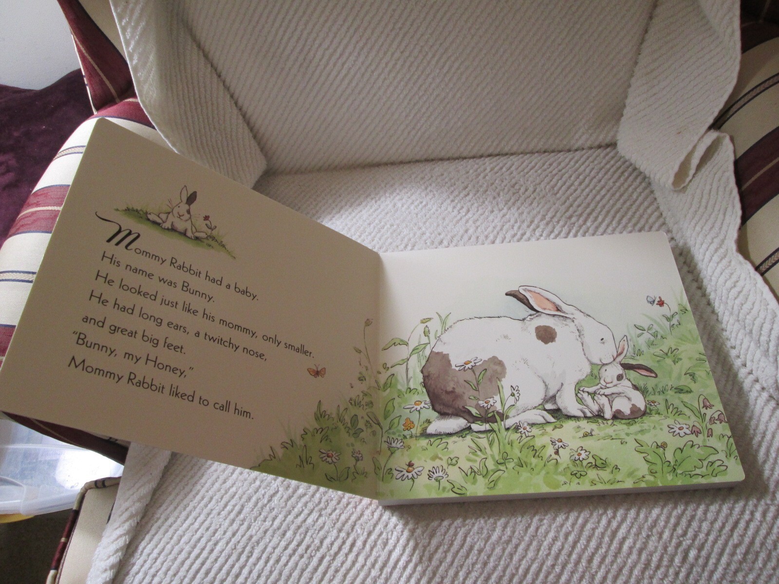 Bunny My Honey by Anita Jeram Big Board Book (9.25 x 10.5 inches)