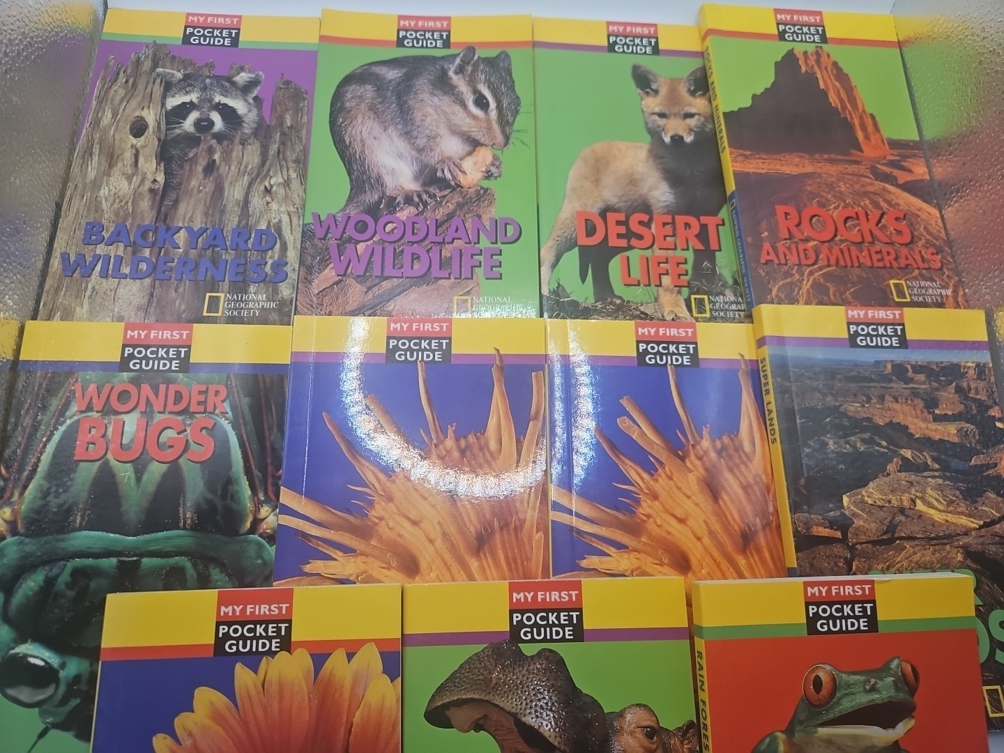 National Geographic My First Pocket Guides: Big Collection 11 Books science