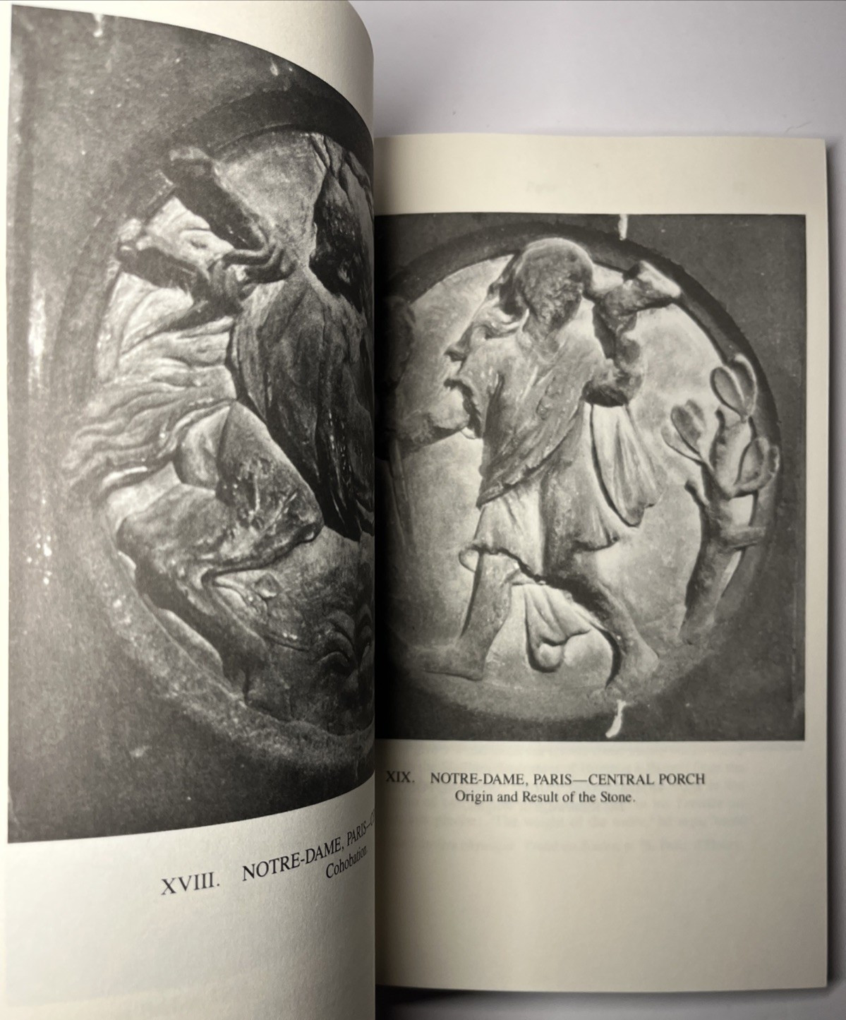 Fulcanelli: Master Alchemist: Le Mystere des Cathedrales, Esoteric Intrepretatio