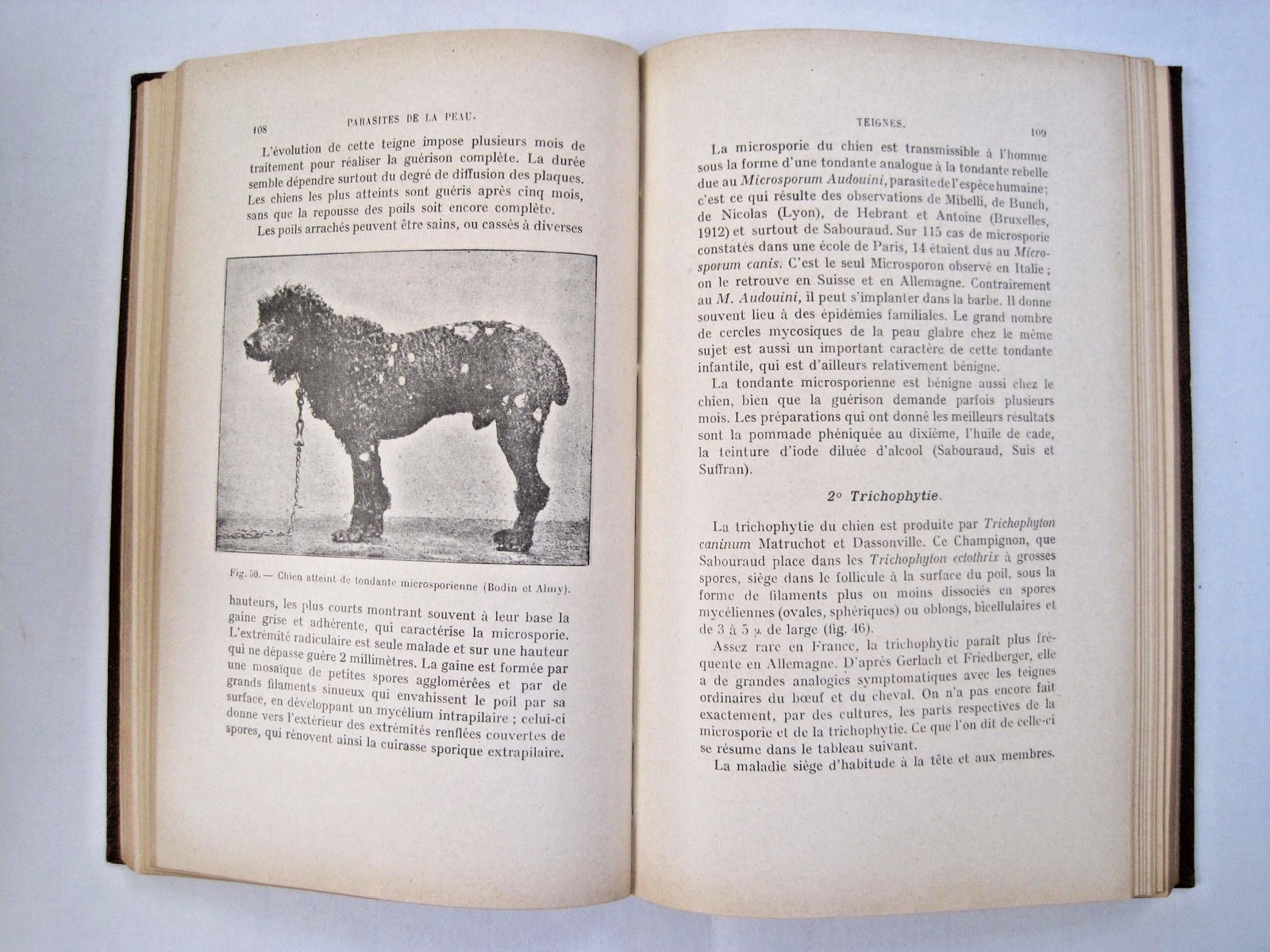 Parasites et Maladies Parasitaires du Chien et du Chat