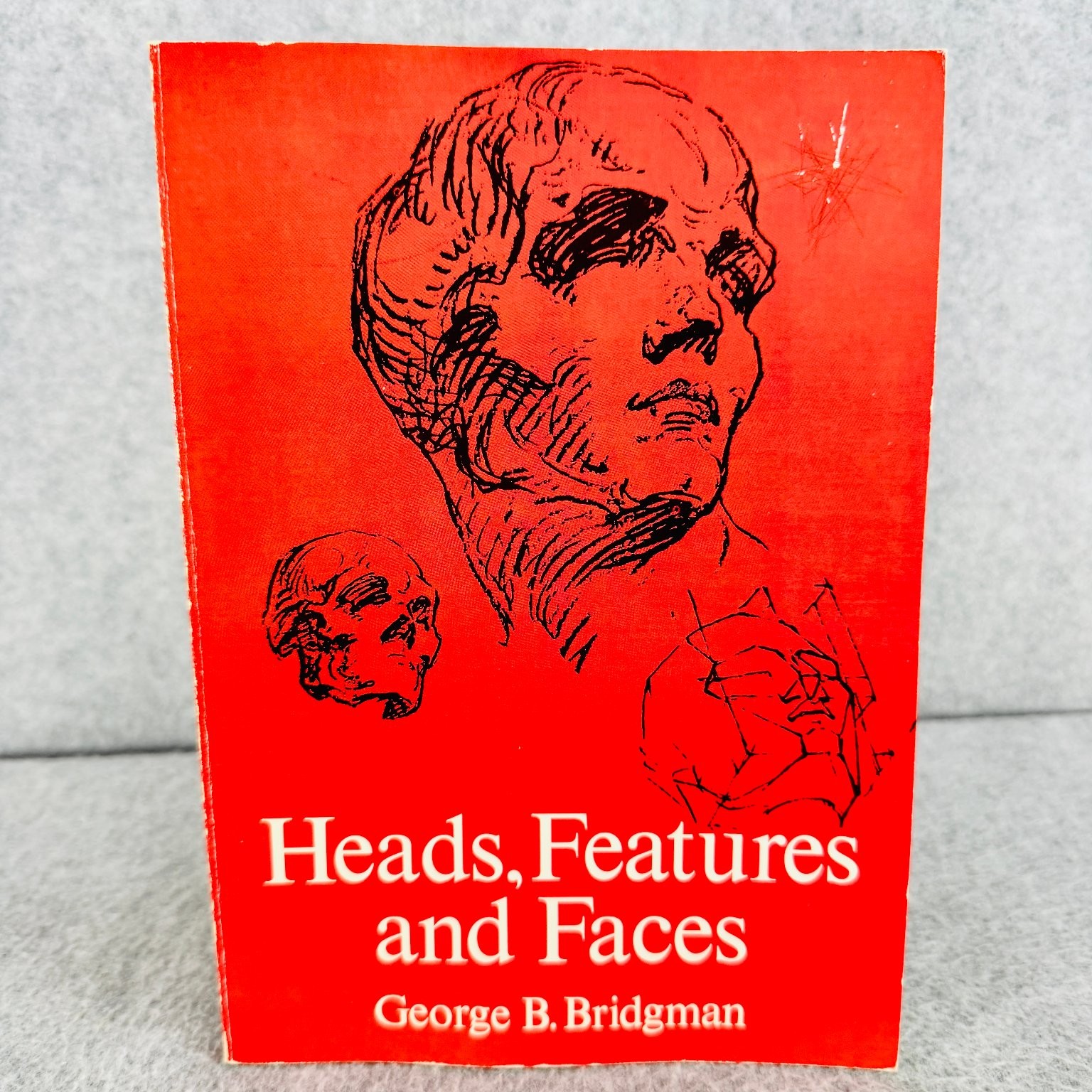 Heads, Features and Faces Bridgman 1974 Dover Edition Art Drawing Anatomy