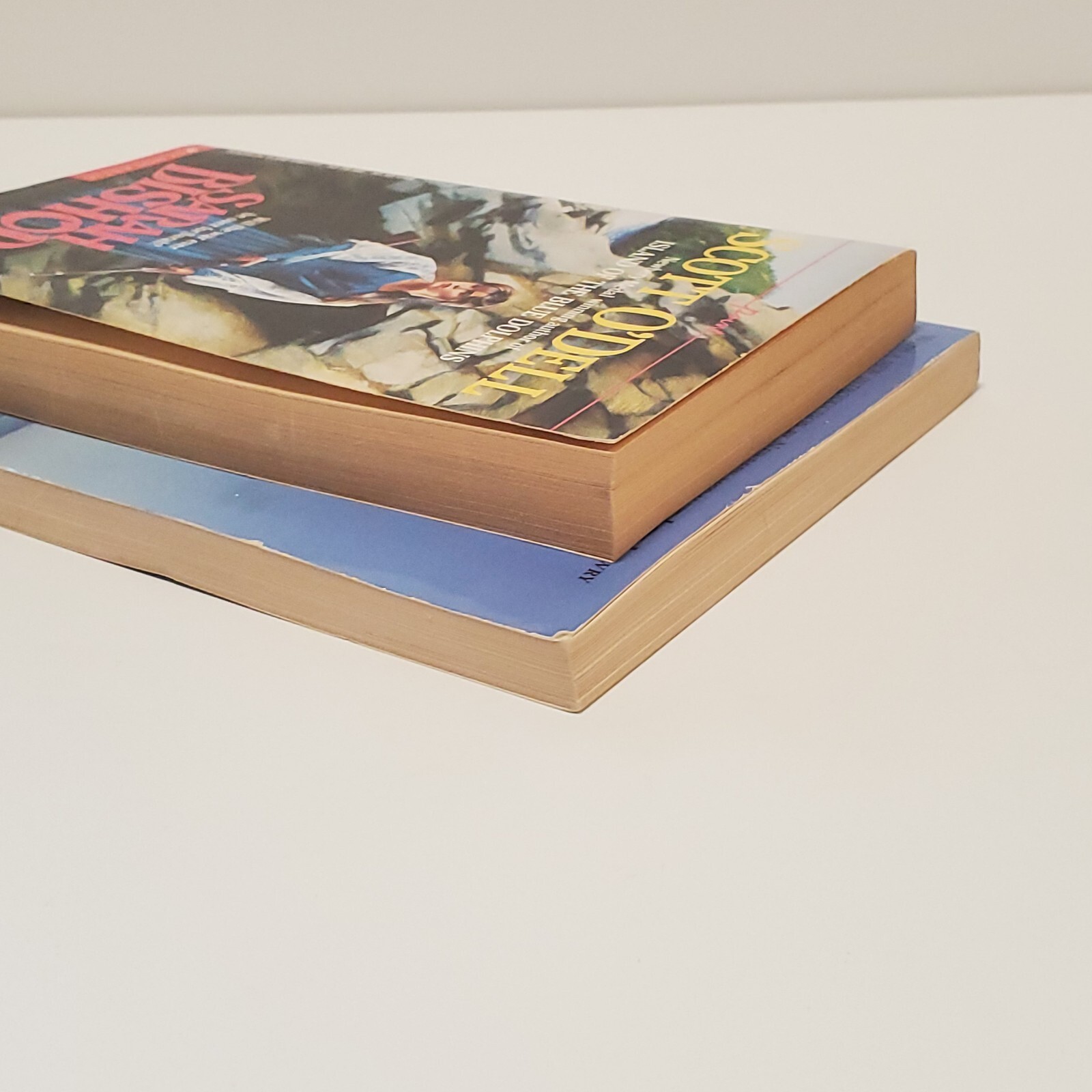 2 Books by Scott O’Dell – Island of the Blue Dolphins & Sarah Bishop