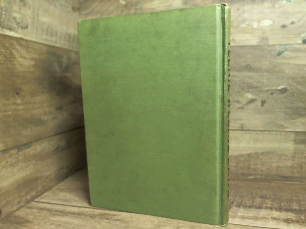 Teenie Weenie Land 1923 by Donahey, William and Effie E. Baker Beckley-Cardy Com