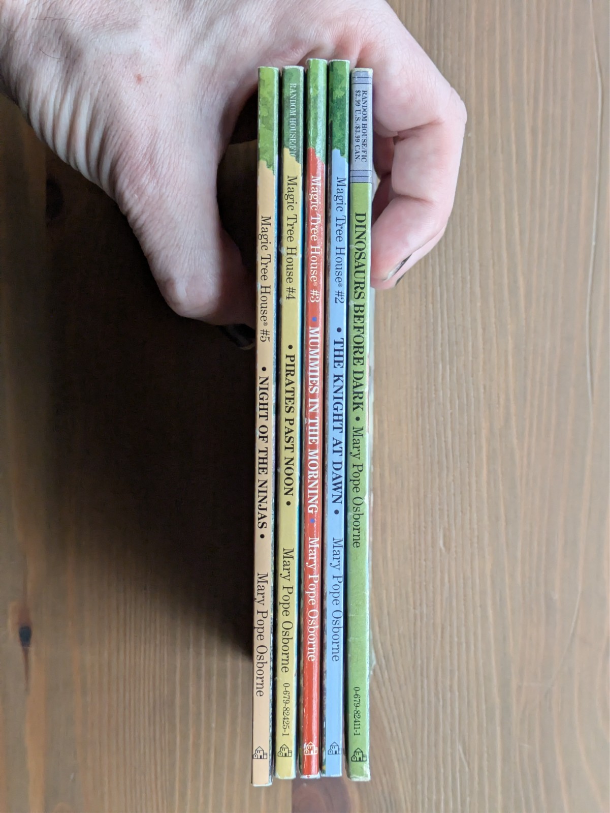 Magic Tree House 1–5 Set Vintage Mary Pope Osborn Kids Adventure Chapter Books