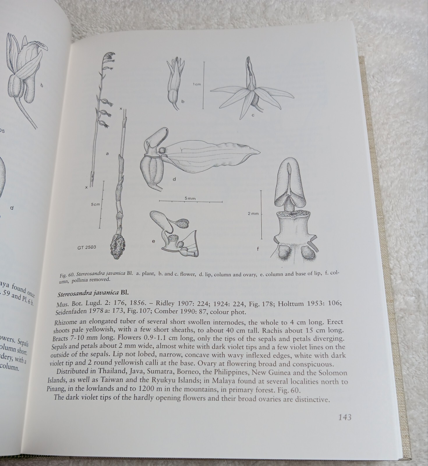 The Orchids of Peninsular Malaysia & Singapore (Seidenfaden & Wood • 1992)