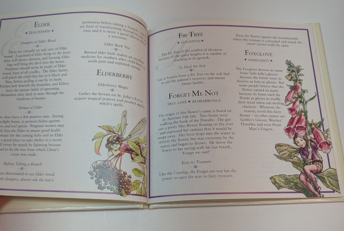 Flower Fairies: The Meaning of Flowers Frederick Warne 1996 Hardcover Vintage