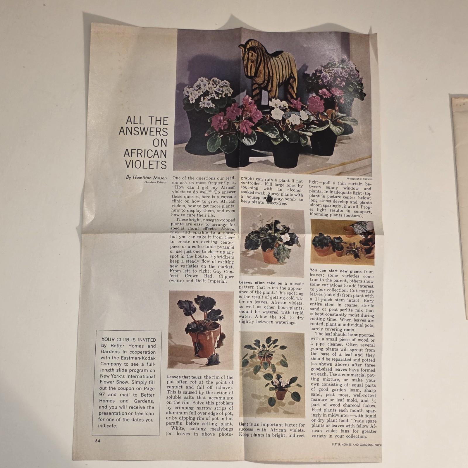 The Complete Book Of African Violets Helen Van Pelt Wilson 1952 3rd HC DJ