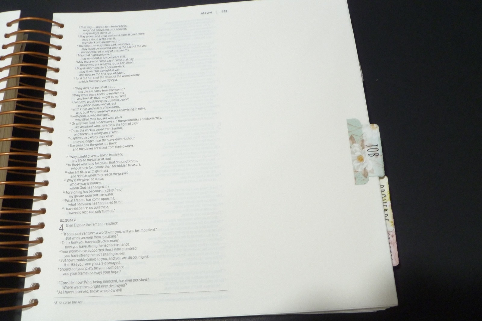 Illustrating Bible NIV Pink by Dayspring (2020, Spiral)