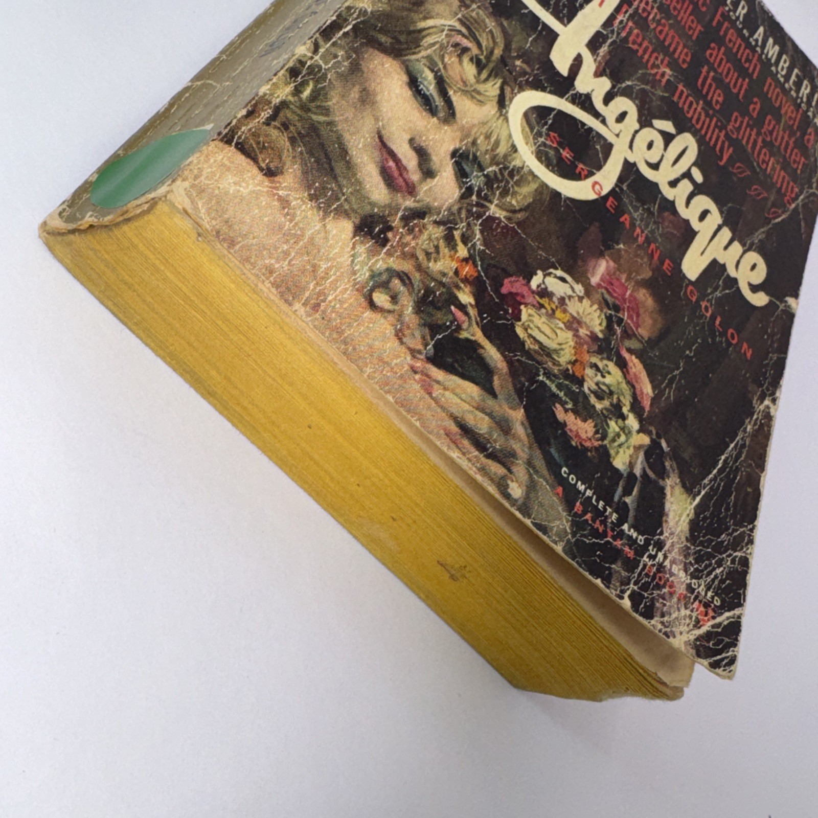 Angelique book 1 by Sergeanne Golon paperback 1960 pub.