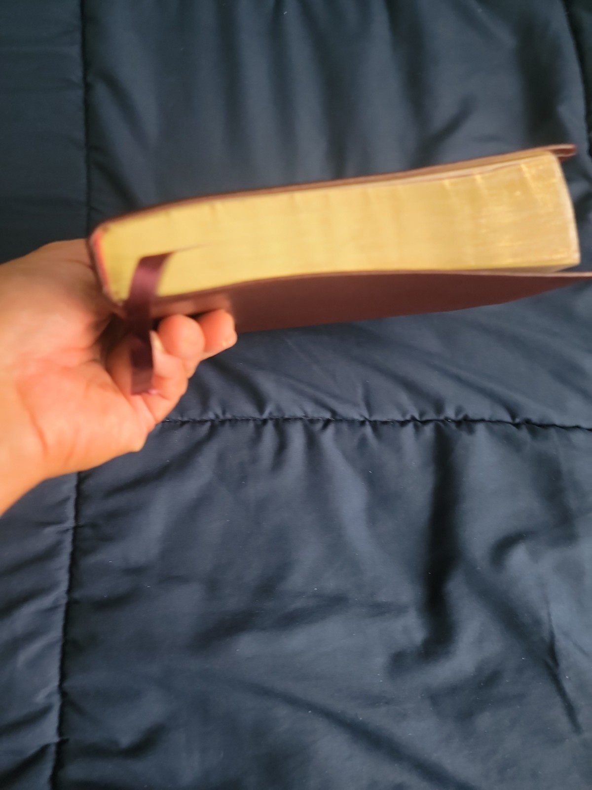 Power For Life Genuine Leather TNIV Study Bible