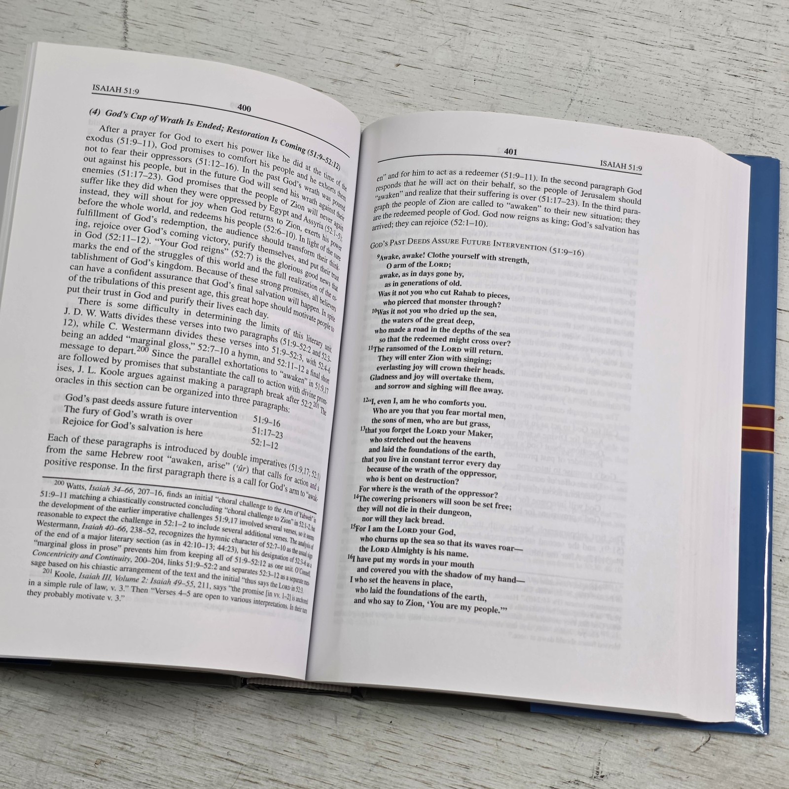Isaiah 40-66: An Exegetical and Theological Exposition New American Commentary