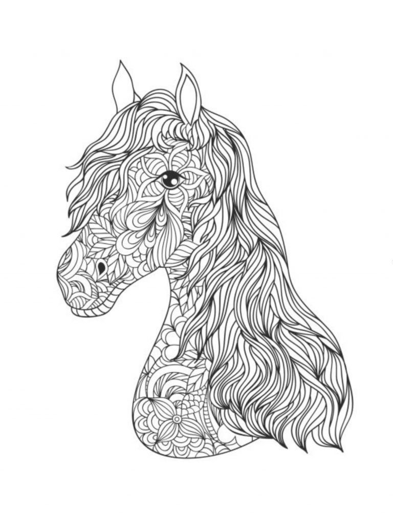 the Horses Coloring Book the best horse book 108 Pages 8.5 x 11 for All Ages