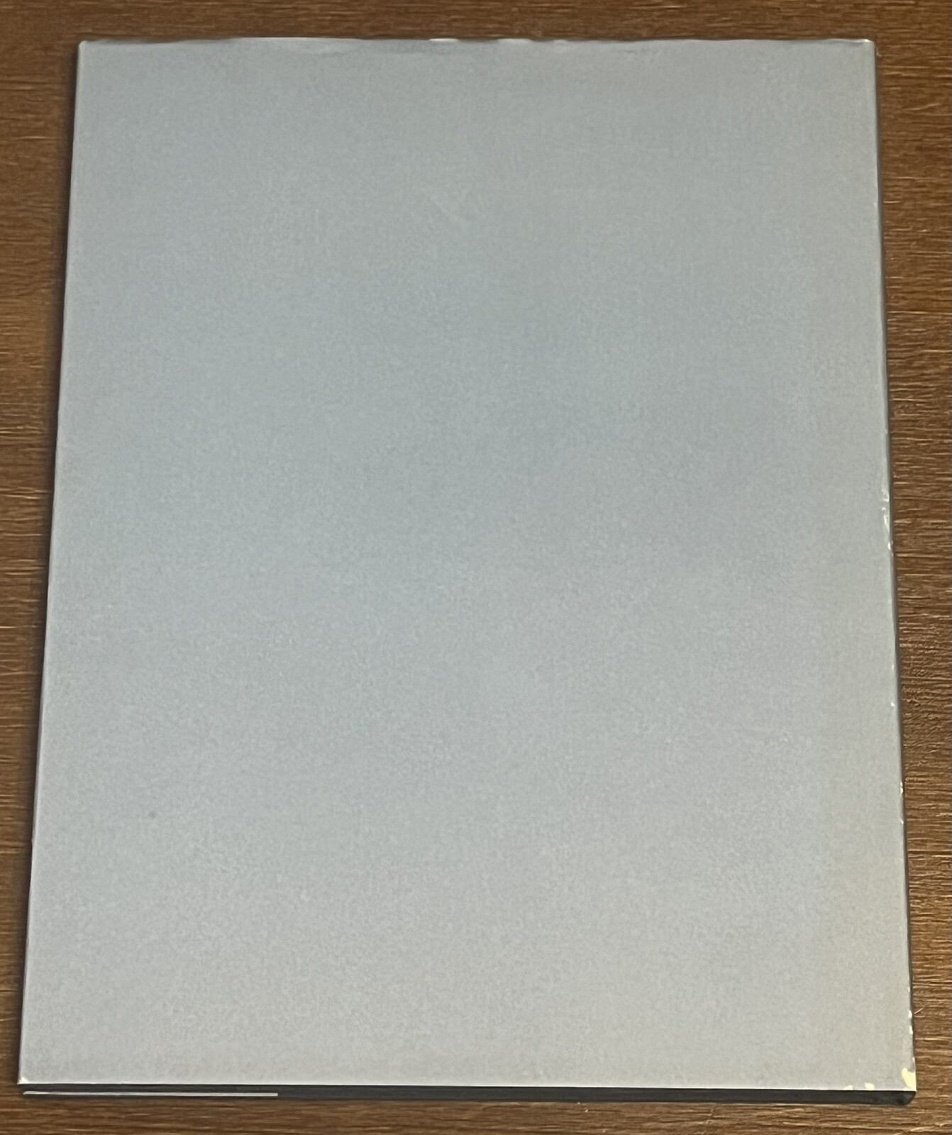 Larry Stanton Painting and Drawing Twelvetrees Press 1986