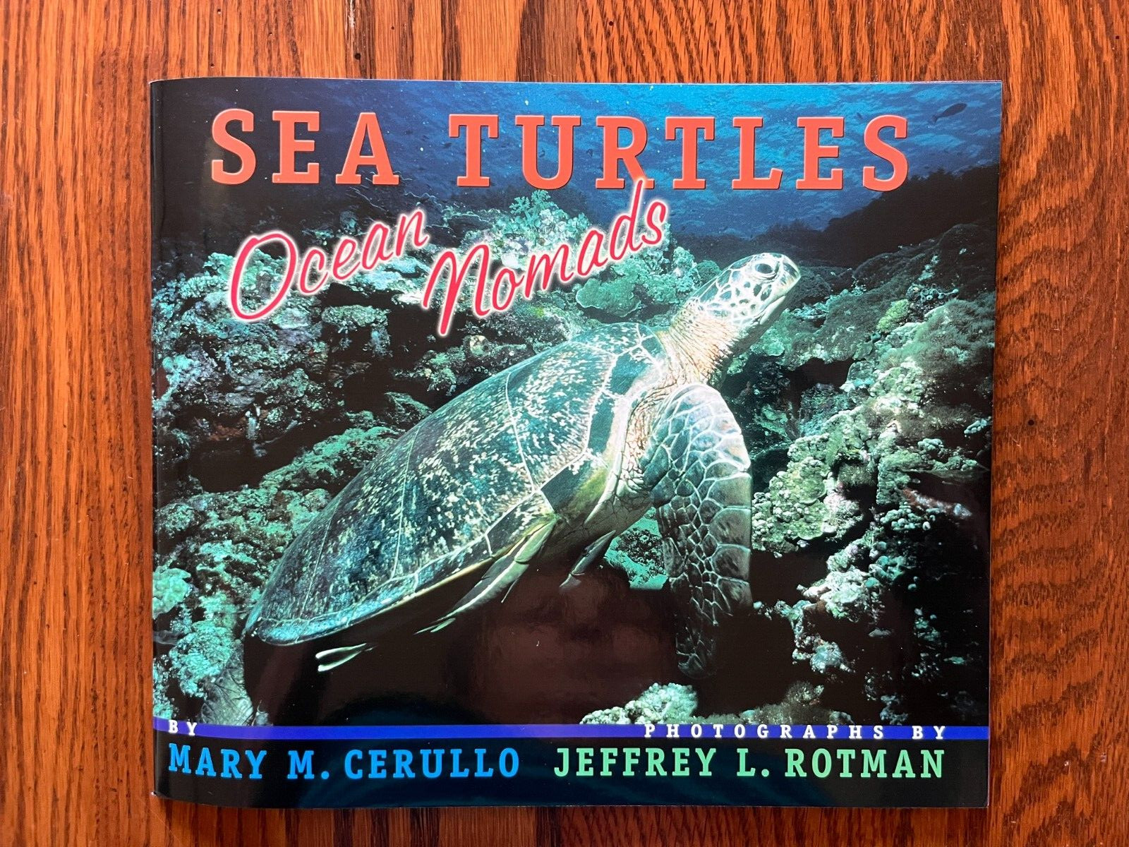 Set of 25 NEW SEA TURTLES Books Ocean Science Grade Level 3 4 Teacher Class Lot