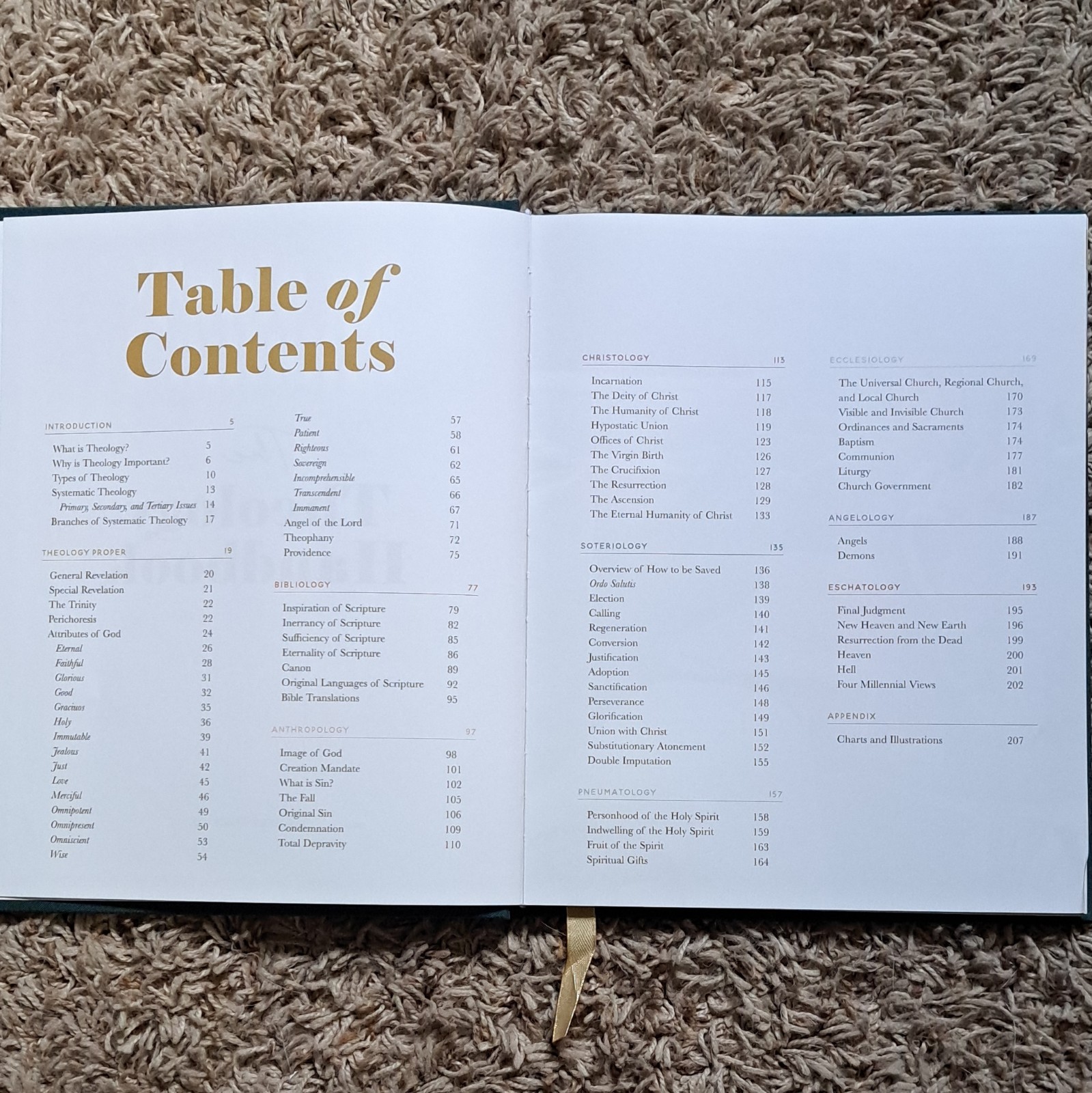 The Daily Grace Co. The Theology Handbook Hardcover by Kristin Schmucker