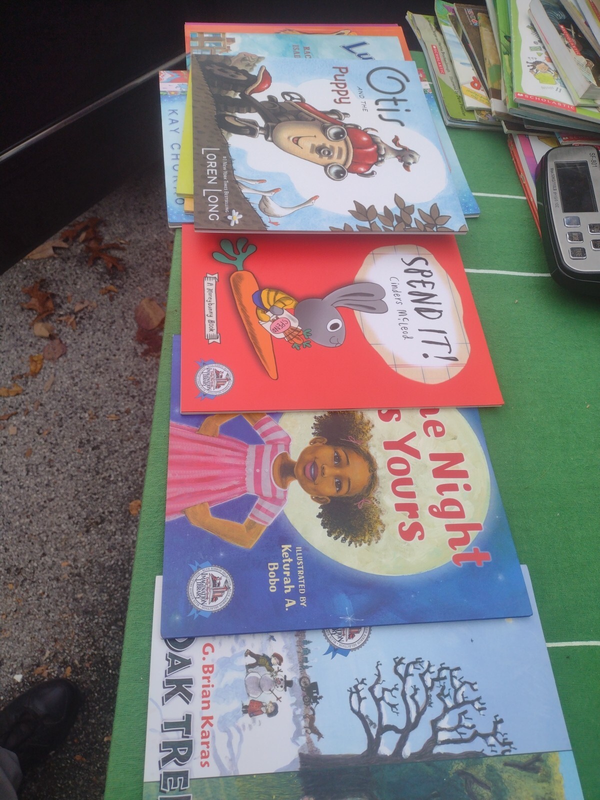 LOT OF 25 DOLLY PARTON IMAGINATION LIBRARY PICTURE BOOKS READ ALOUD ABCs NUMBERS