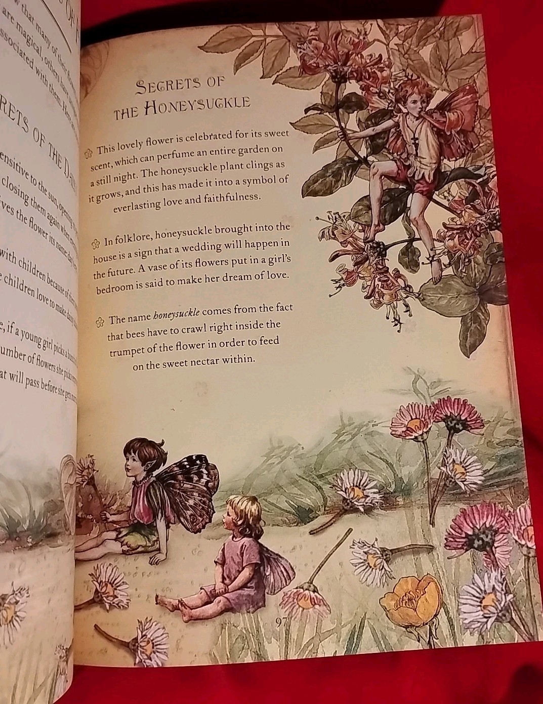 The Girls‘ Book of Flower Fairies by Frederick Warne, 2008 New