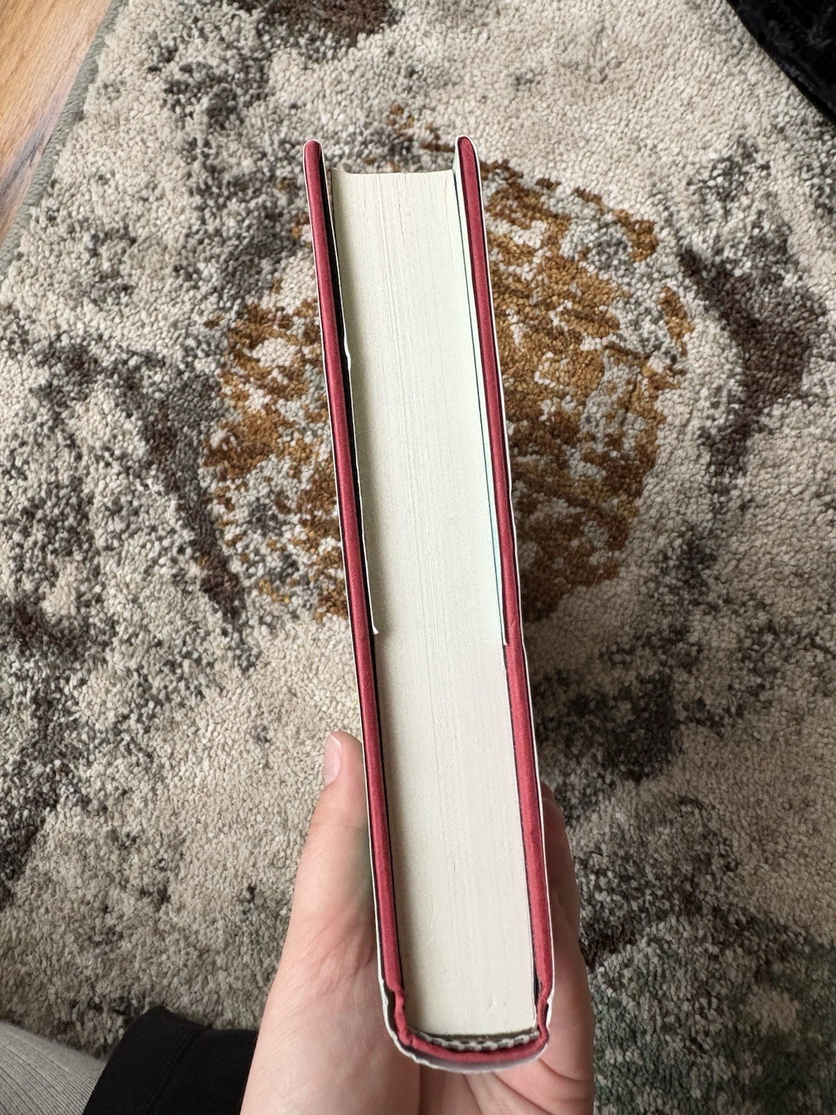 Dead Sea Rising by Jerry B. Jenkins Worthy Publishing Hardcover Bookmark Edition
