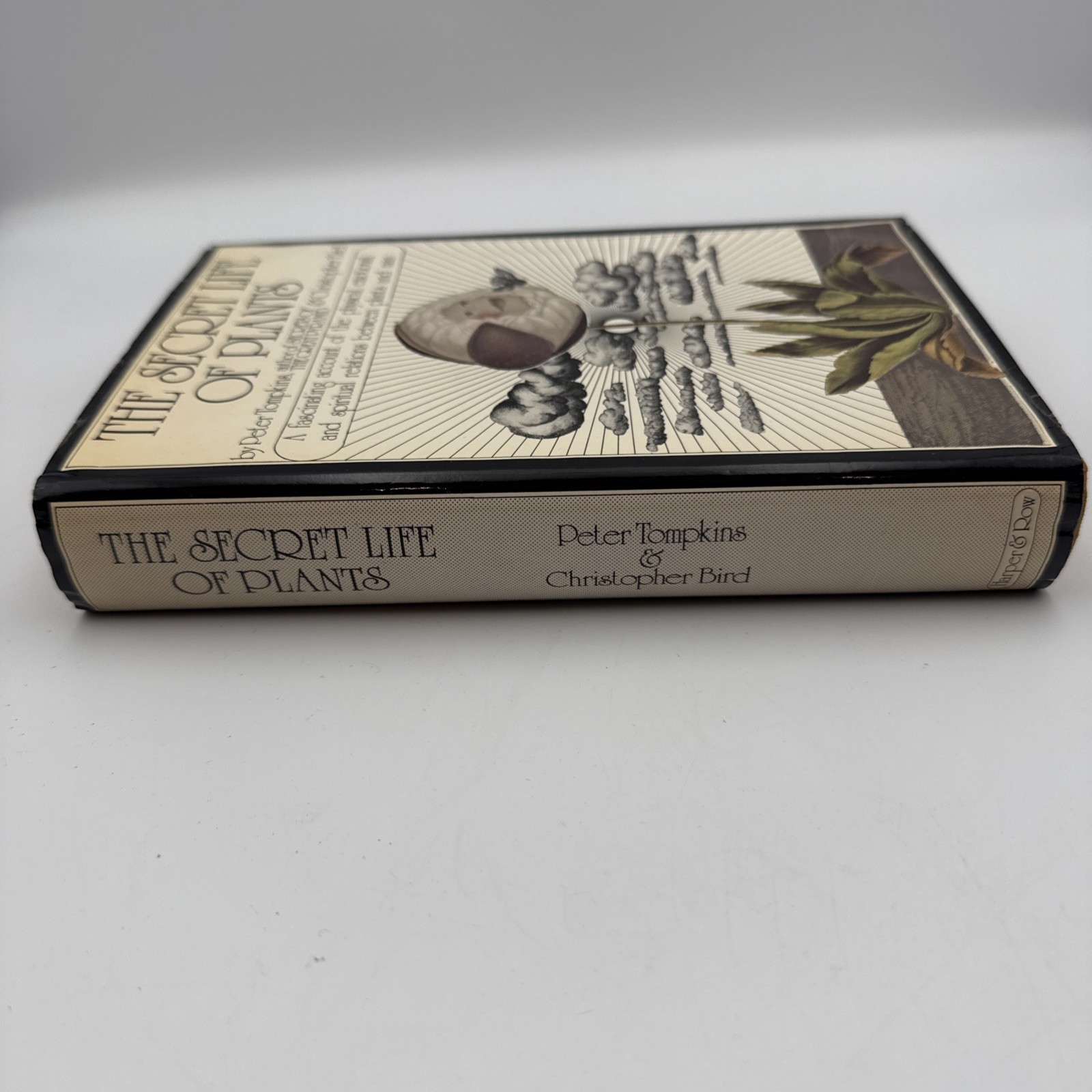 The Secret Life of Plants Tompkins/Bird 1st Edition 1973 ILLUS. HB/DJ