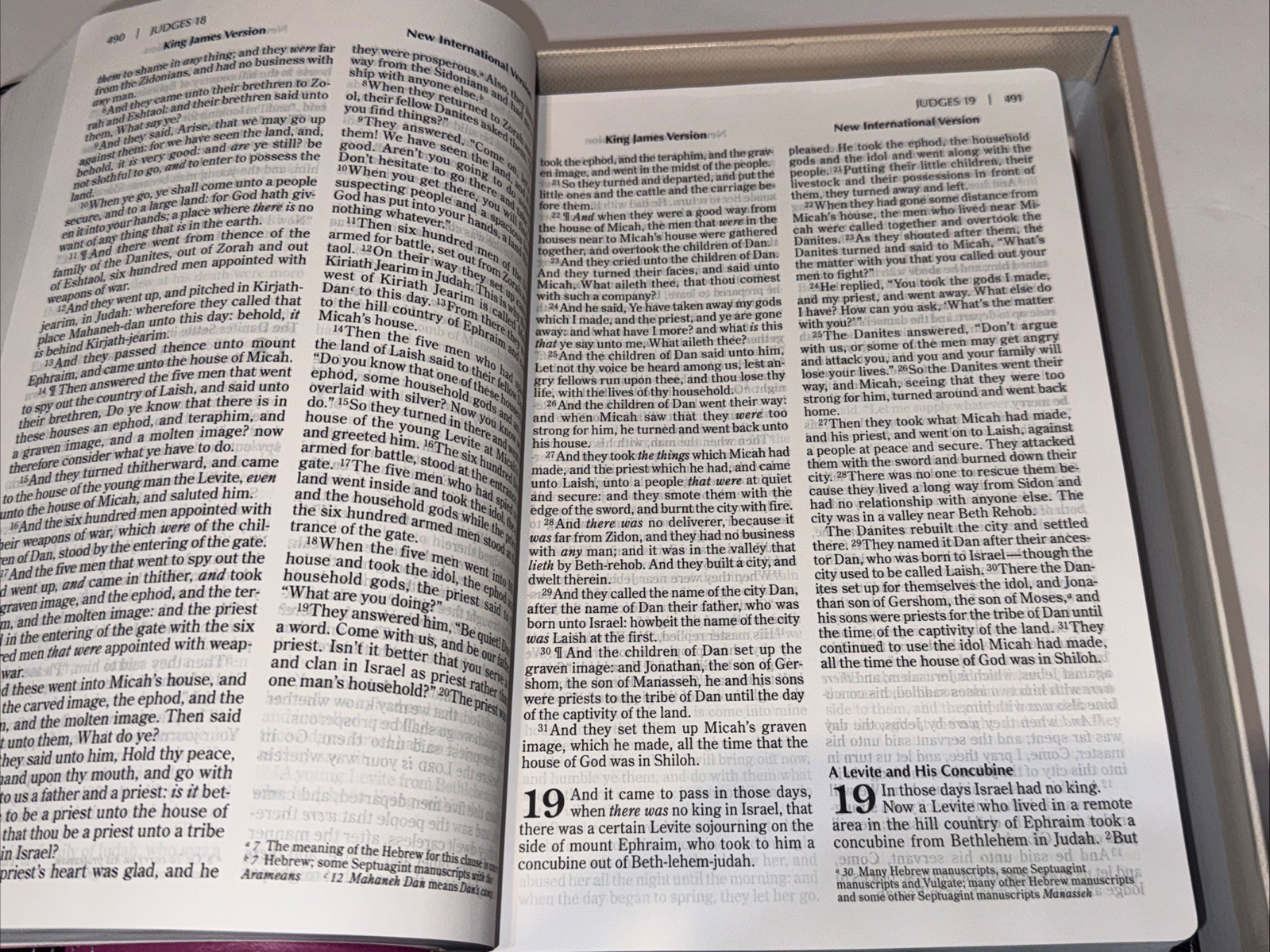 NIV, KJV, Parallel Bible, Large Print, Leathersoft, Pink/Brown: The World’s Two