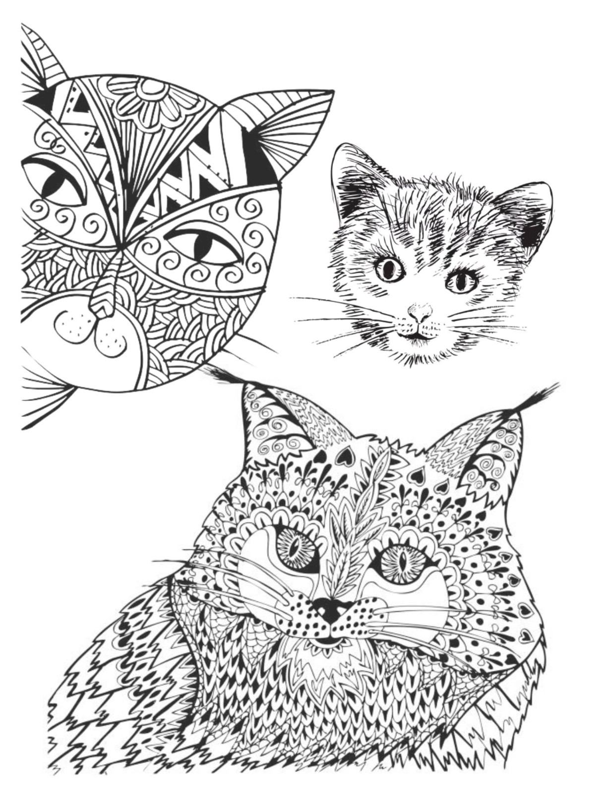 Color the Cats Adult coloring book 108 Pages 8.5 x 11 for All Ages