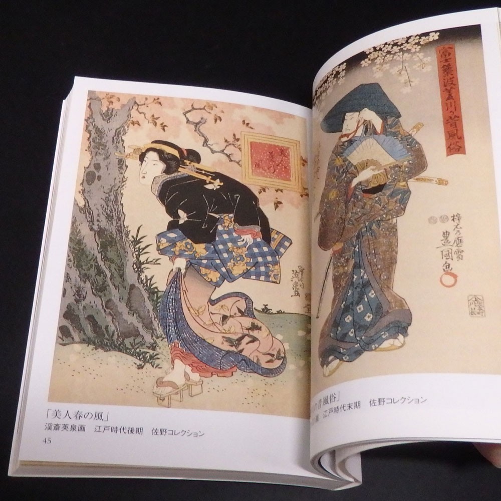 Picture Book of Cherry Blossoms SAKURA Namiki Seishi SEIGENSHA