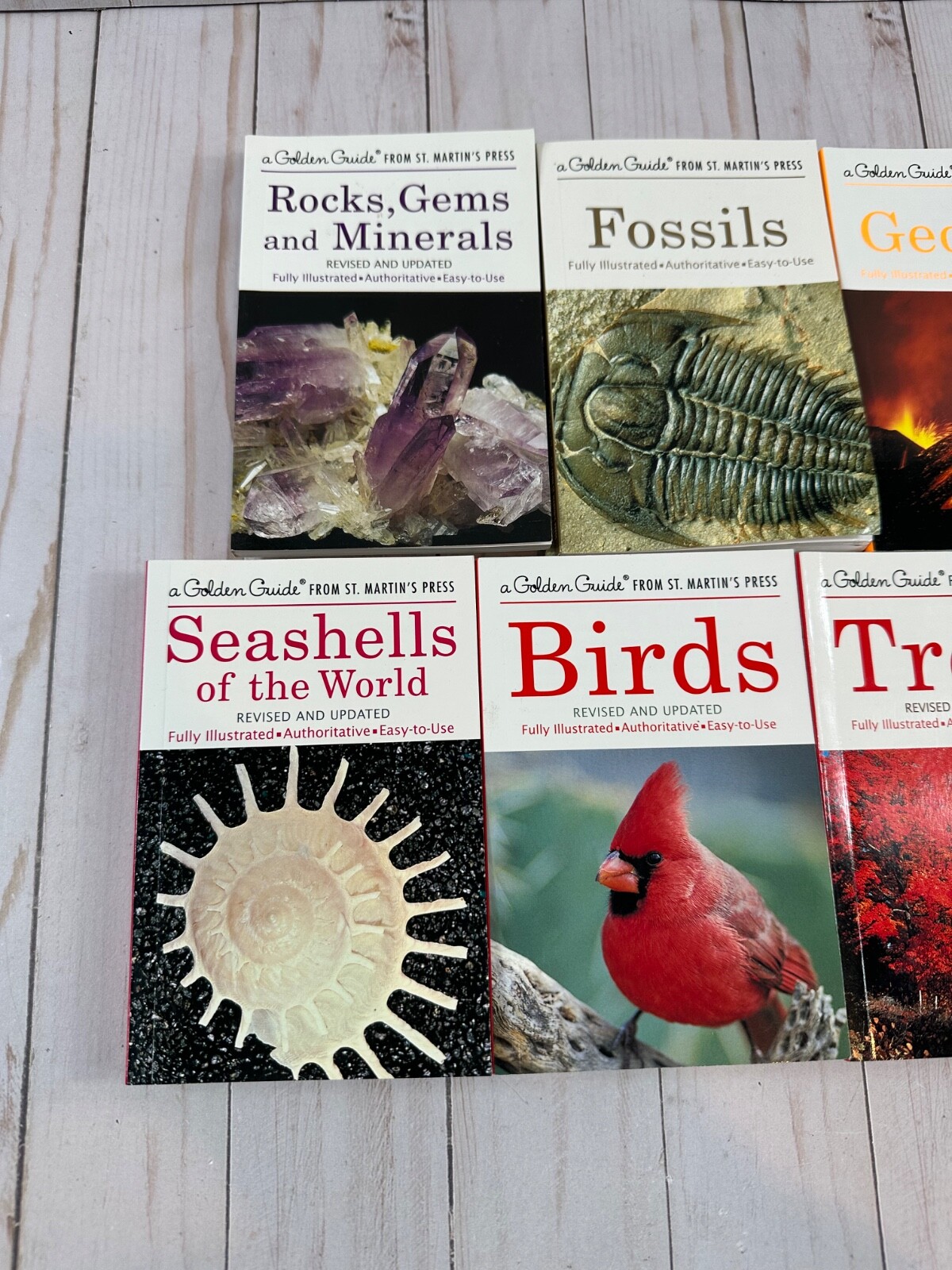 Variety Of A Golden Guide Books from St. Martin’s Press, PICK YOUR BOOK