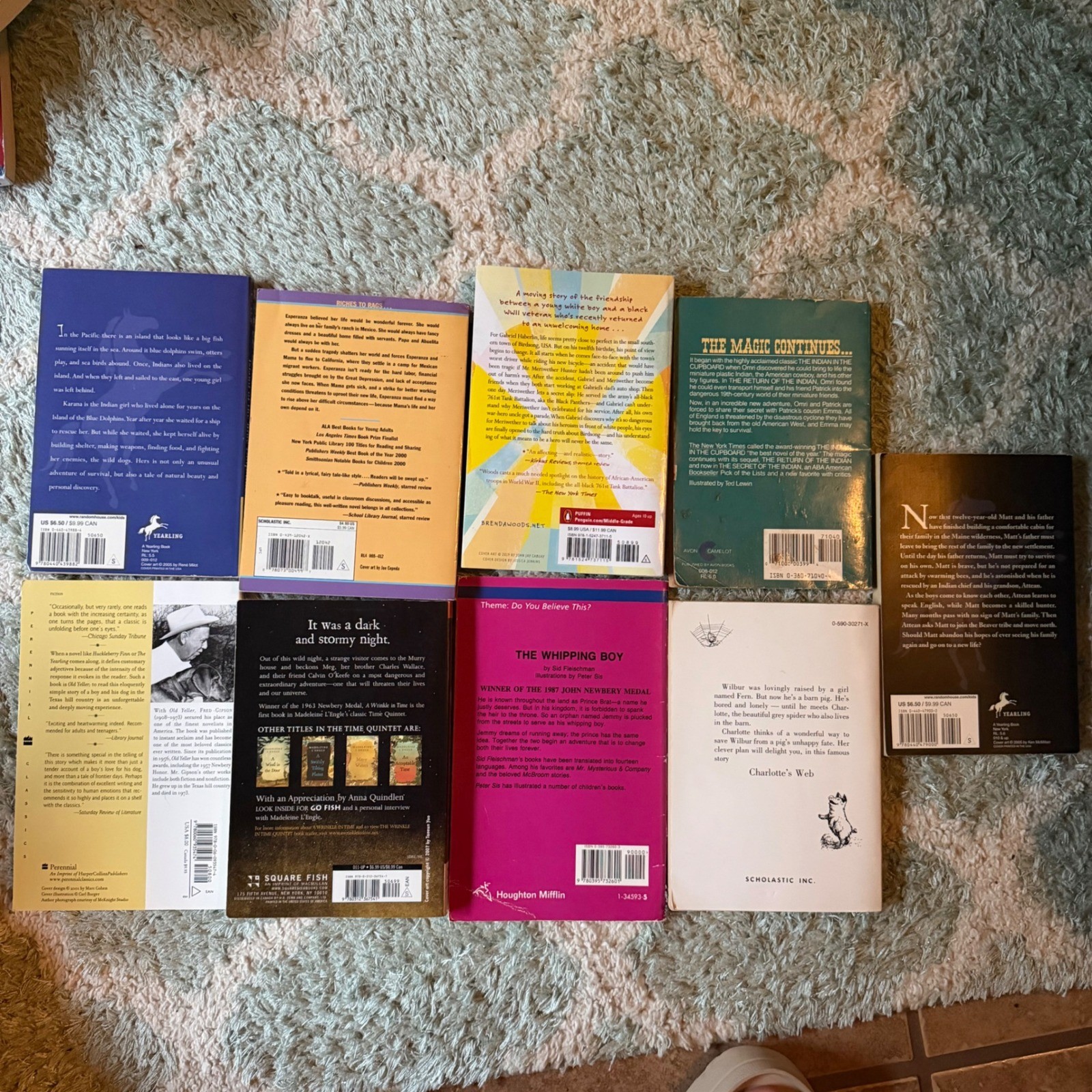 Lot 9 Childrens Books Newbery Winners Charlotte’s Web A Wrinkle In Time Mixed