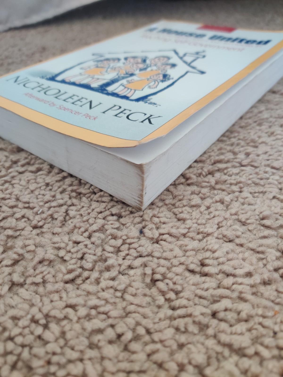 A House United Teaching Self-Government Nicholeen Peck Parenting Paperback