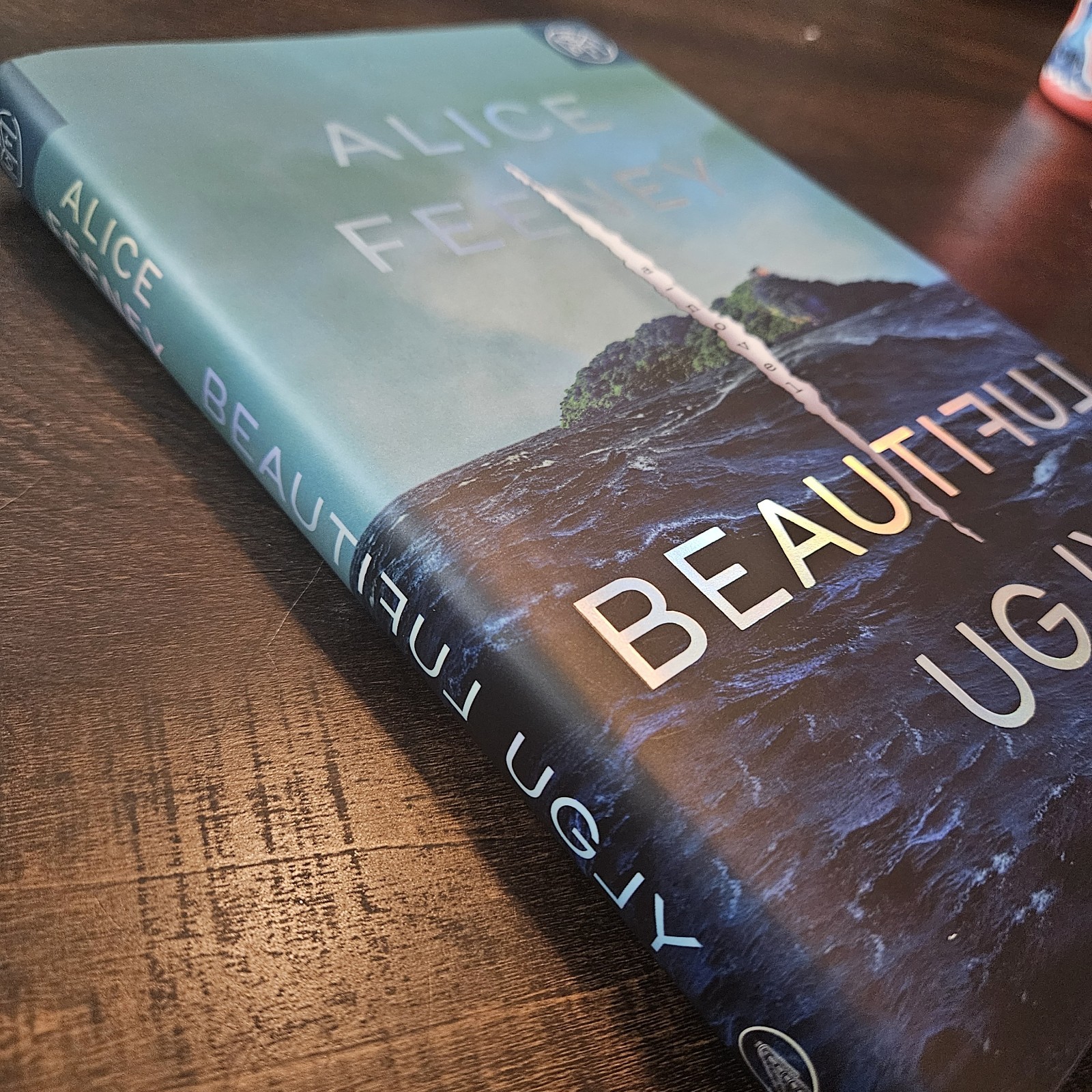 Beautiful Ugly a Novel by Alice Feeney BOTM Edition Hardcover Book