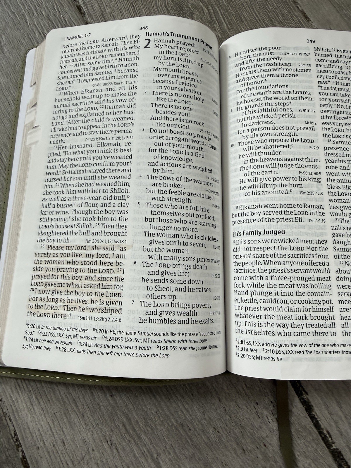 ✝️ CSB – Holy Bible LARGE PRINT Personal Size Reference Bible INDEXED Holman