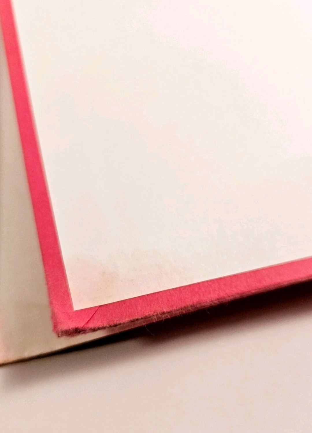 Kayleigh McEnany Signed Hardcover For Such a Time As This 2021 Post Hill Press