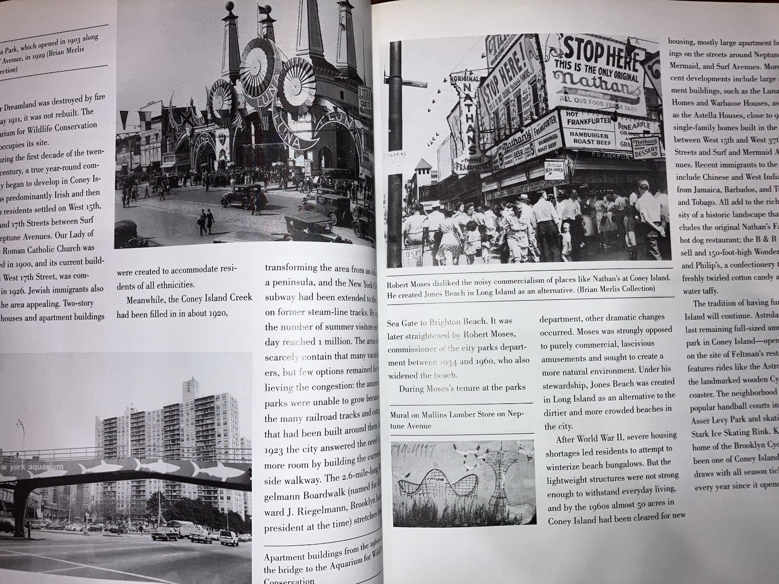 The Neighborhoods of Brooklyn 2nd Ed by Jackson, Yale Univ Press, Illustrated