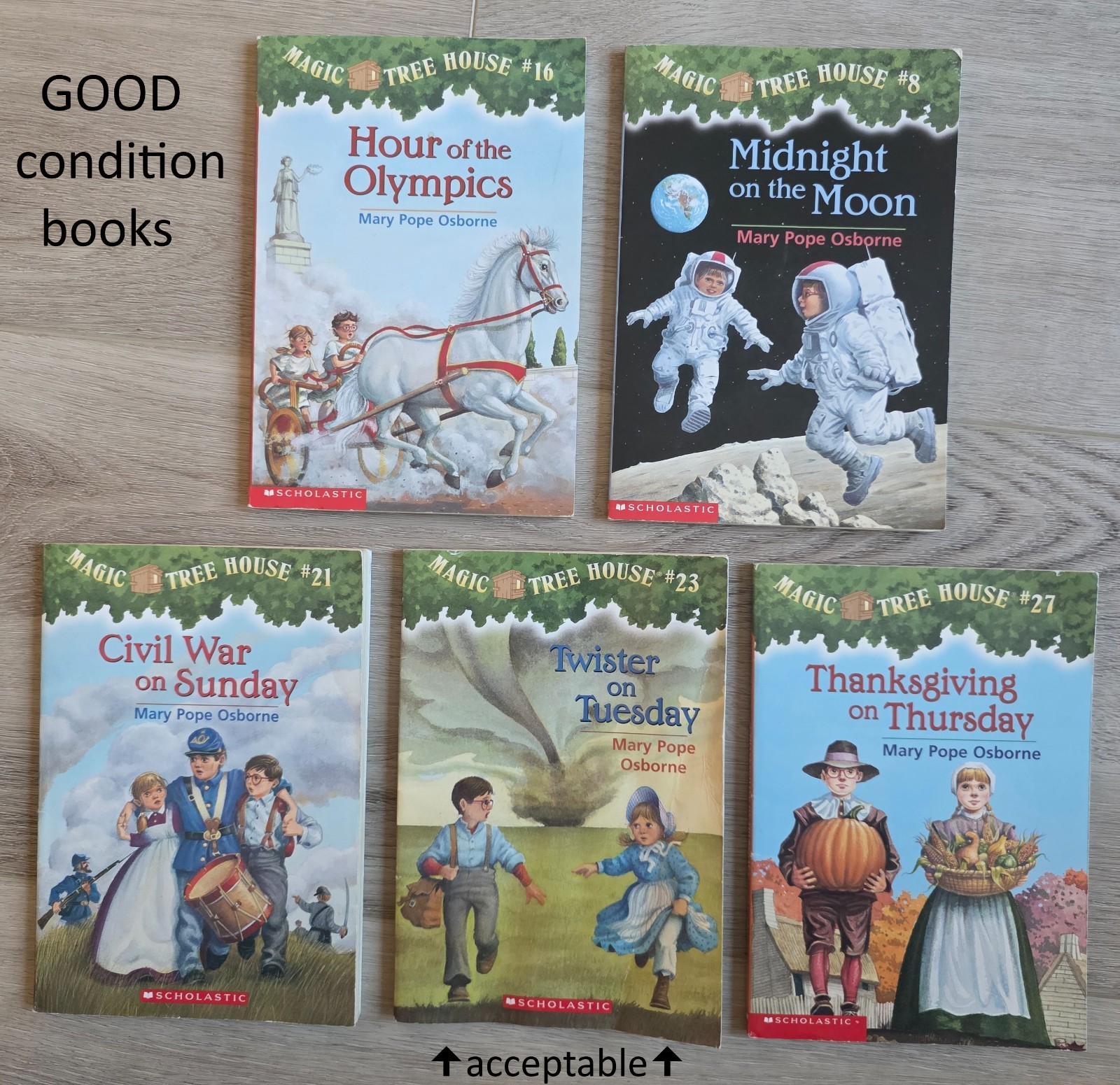 Magic Tree House Lot 28 Vintage Books by Mary Pope Osborne, Complete Set 1-28
