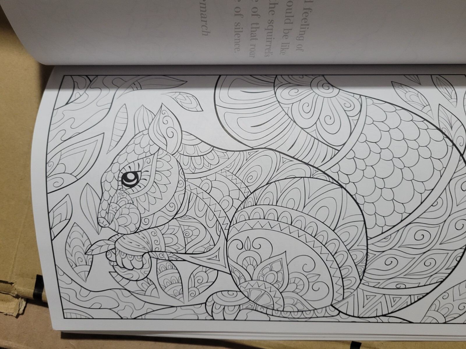 COLORFUL ESCAPES – The colors of Nature! Vol. 26 -Adult Coloring Book – 31 Pages