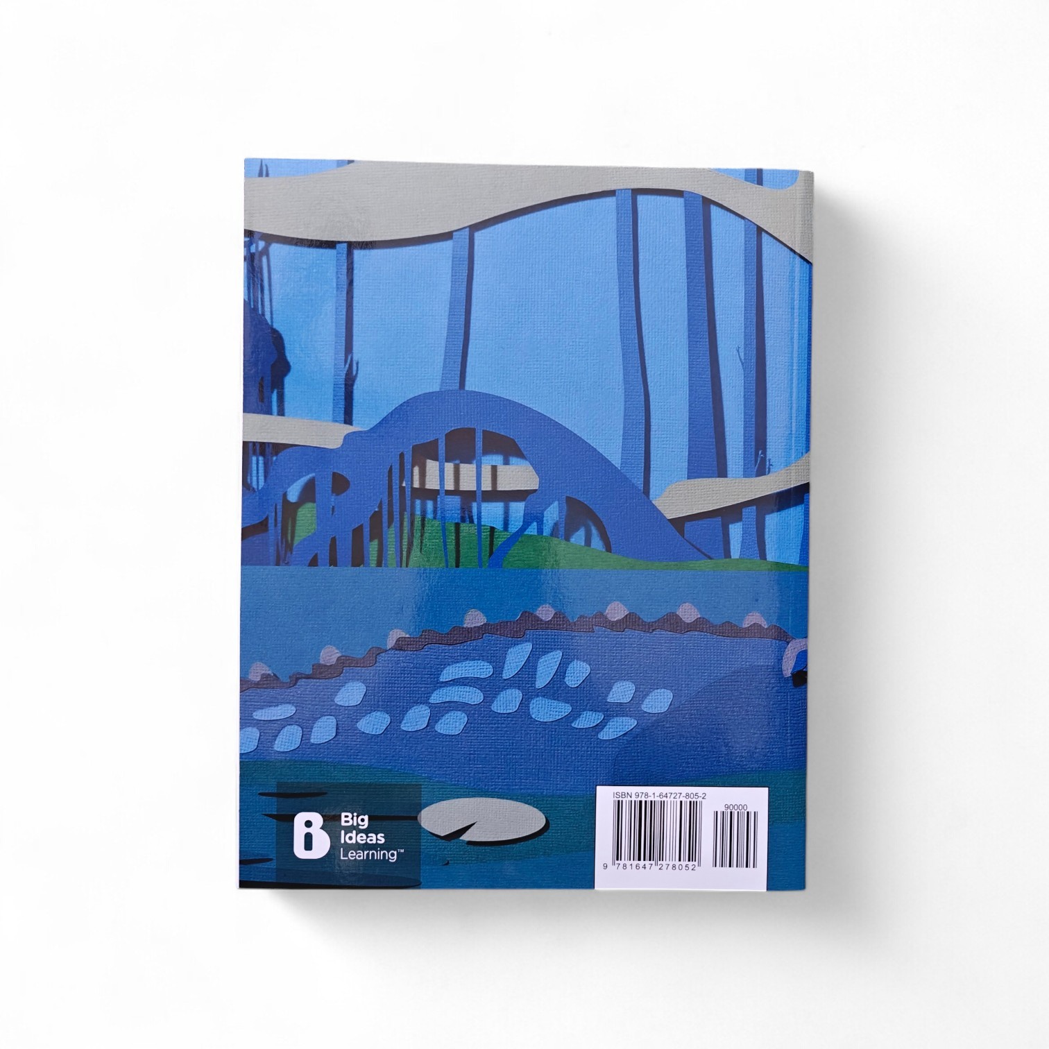 B.E.S.T. Standards For Math Grade 5 Volume 1