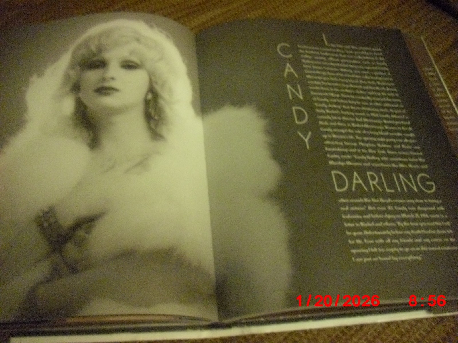 Divas!: The Fabulous Photography of Kenn Duncan by Stephen M. Silverman WOW!